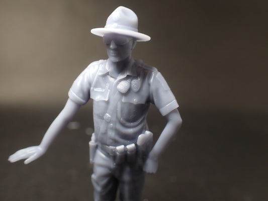 Highway Patrolman