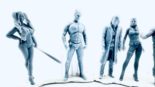 Dark Knight and Friends