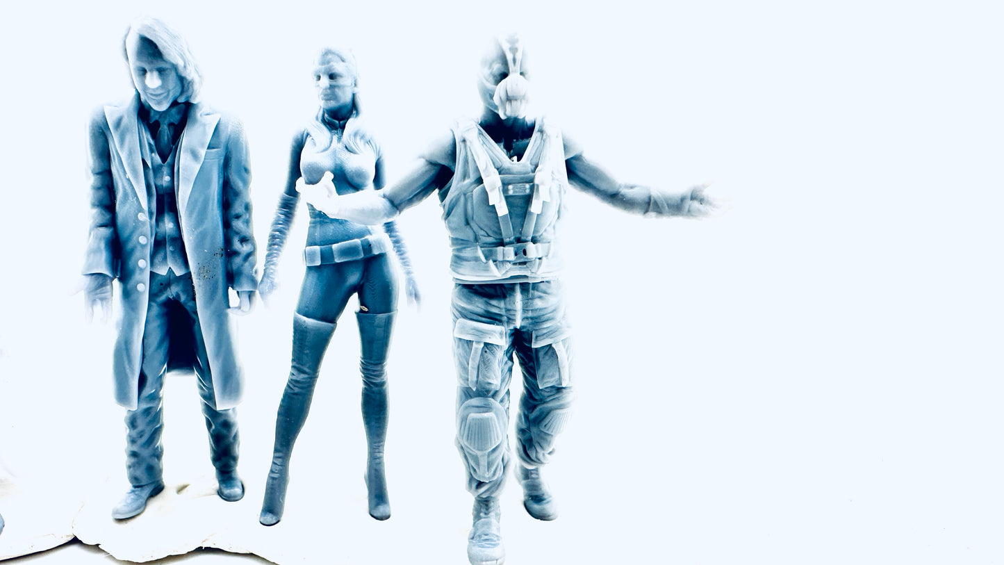 Dark Knight and Friends