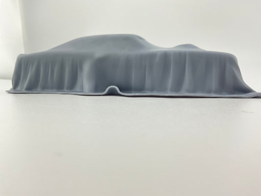 “Car Cover” 1968 Charger