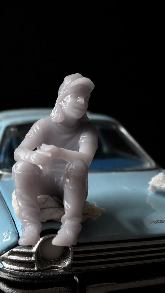 1/64 Wayne and Garth