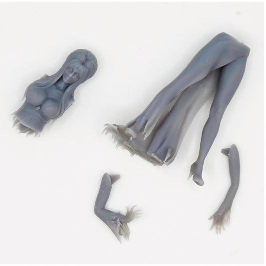 1/25 Elvira for model cars