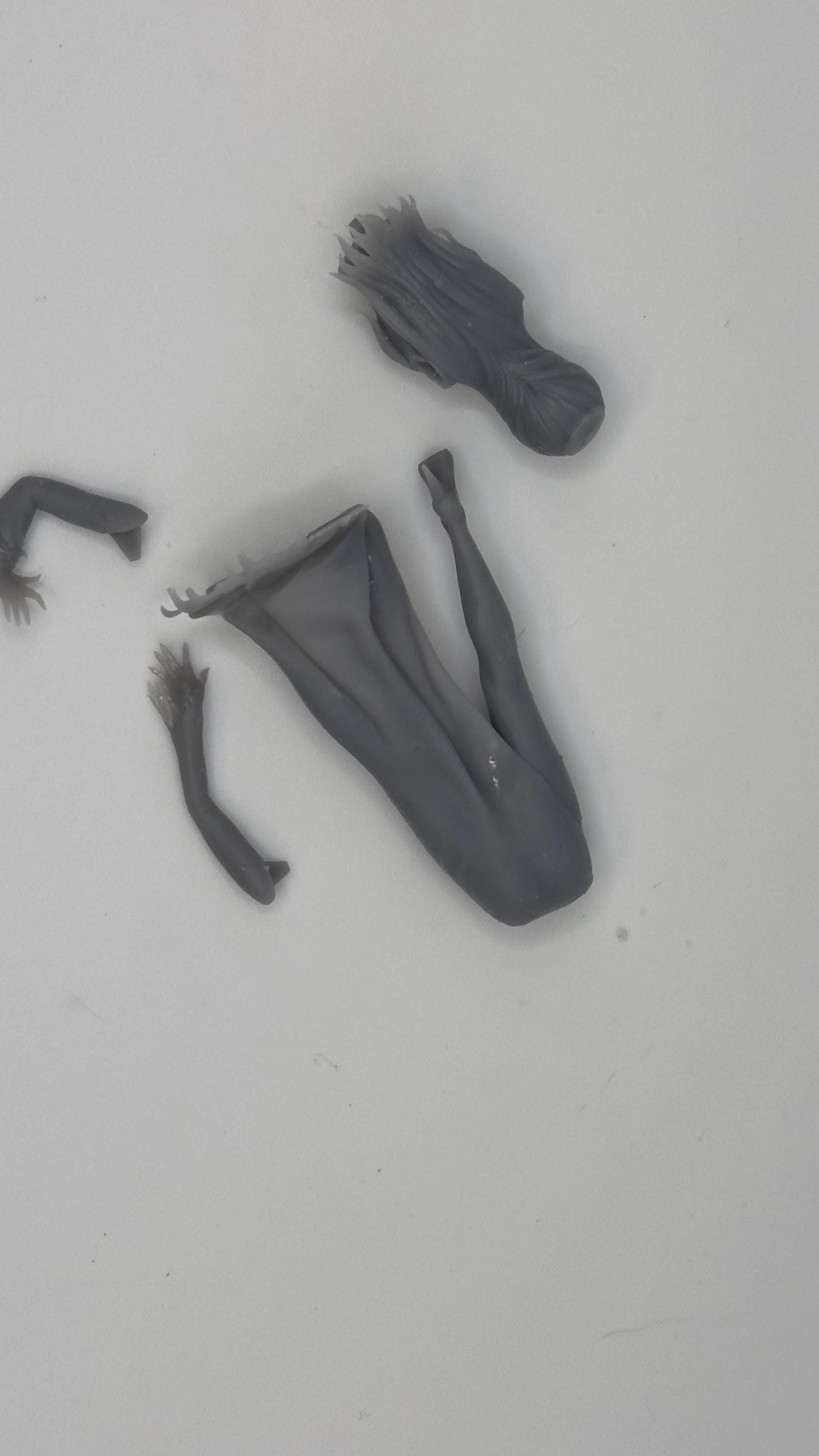 1/25 Elvira for model cars