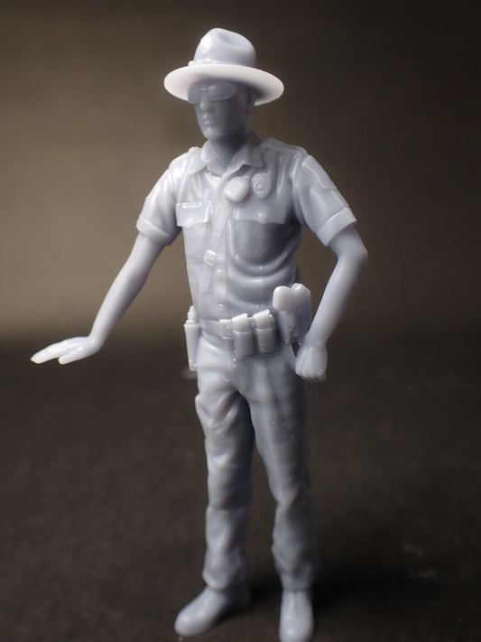 Highway Patrolman