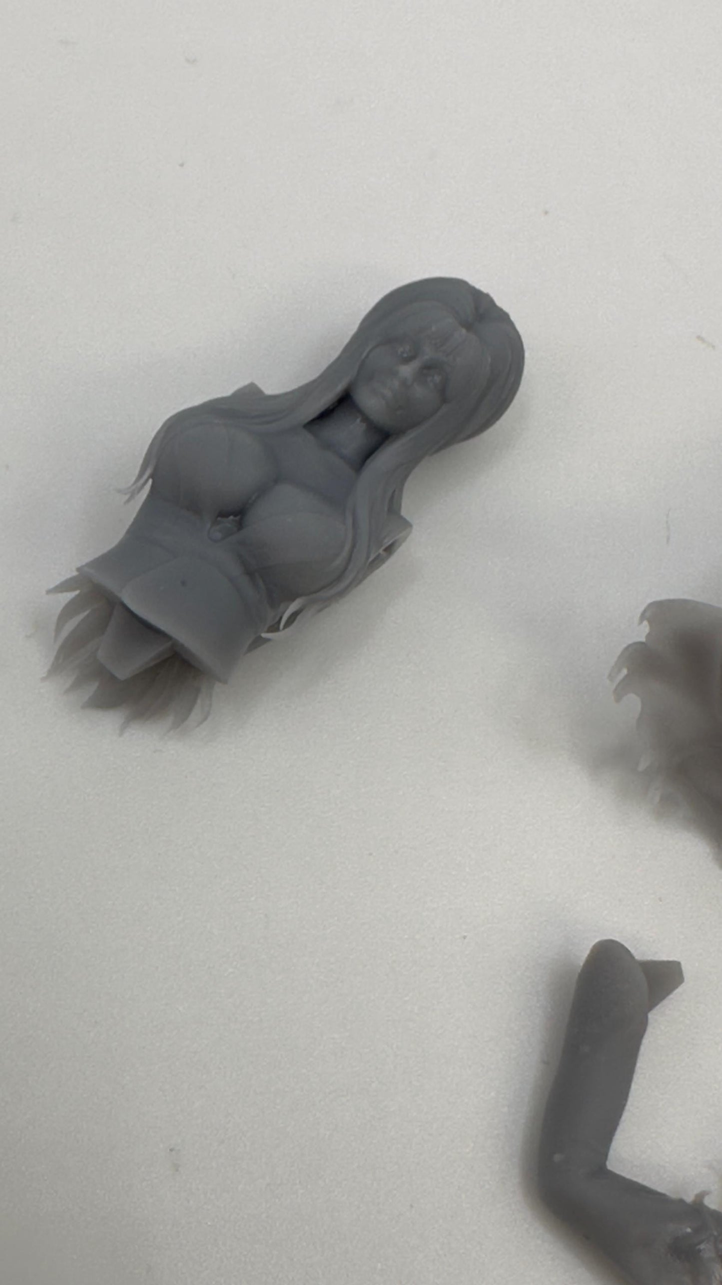 1/25 Elvira for model cars