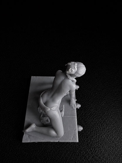Slave Leia  1/24/25