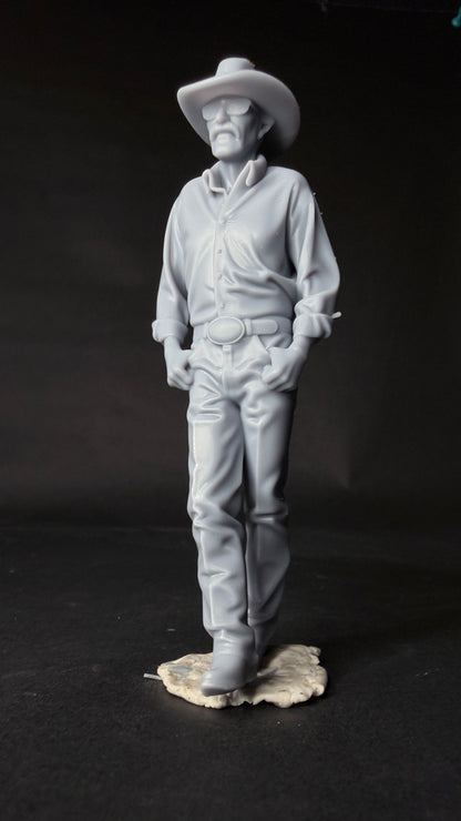 Street Clothes Richard Petty